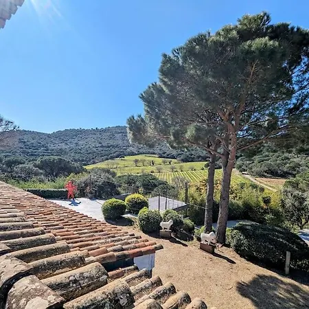 D'artise A * Ramatuelle